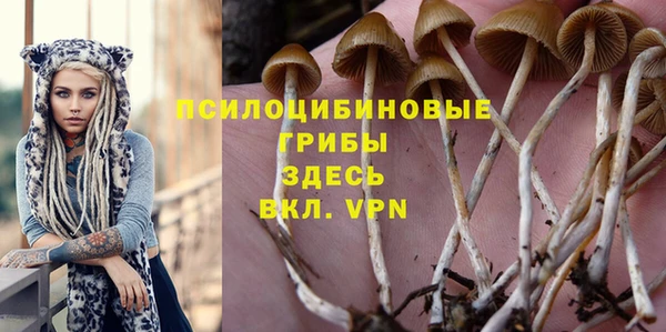 кокс Балабаново